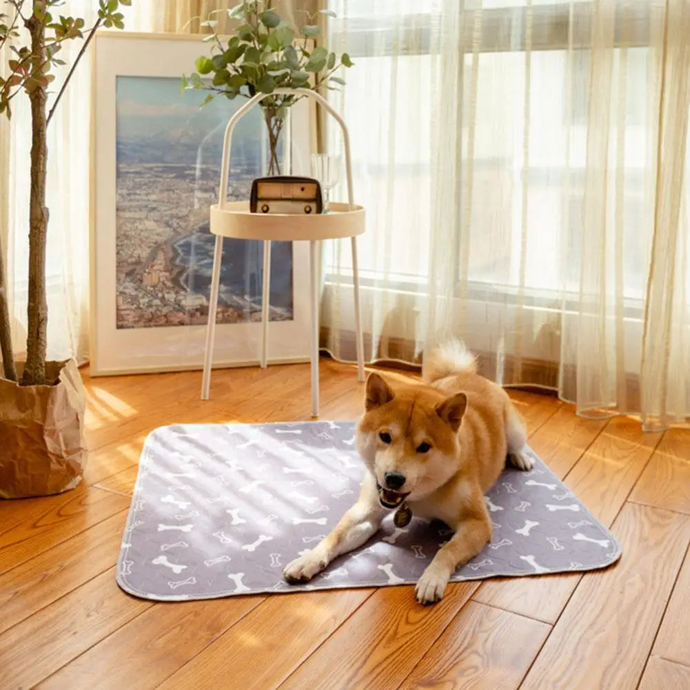 Reusable Dog Pee Pad Blanket