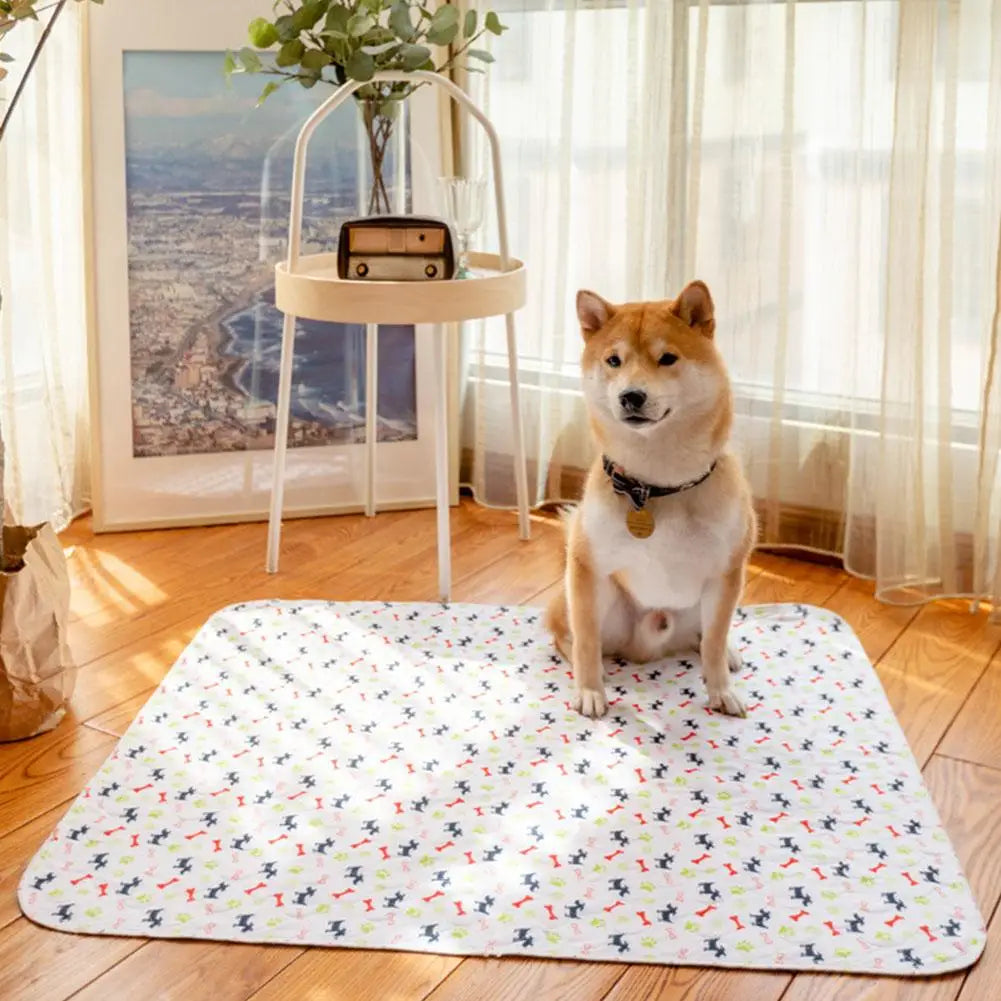 Reusable Dog Pee Pad Blanket